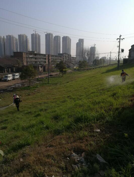 监利县长江河道管理局城南分段药物除杂