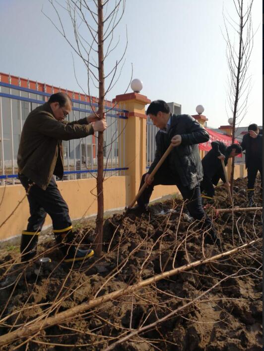 河道局党委班子成员积极参加监利县县委县政府组织的植树节活动