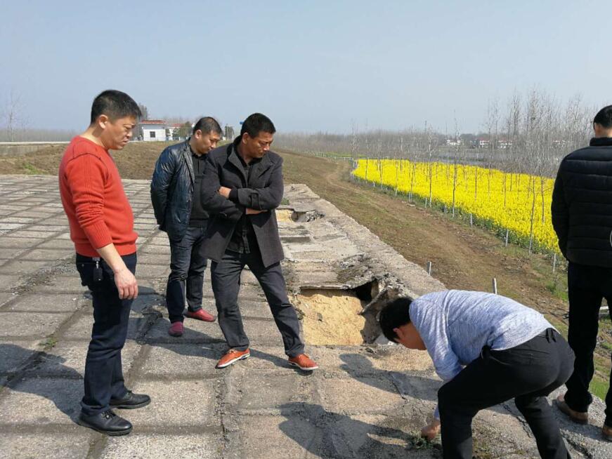 　　监利县长江干堤上车段汛前安全检查