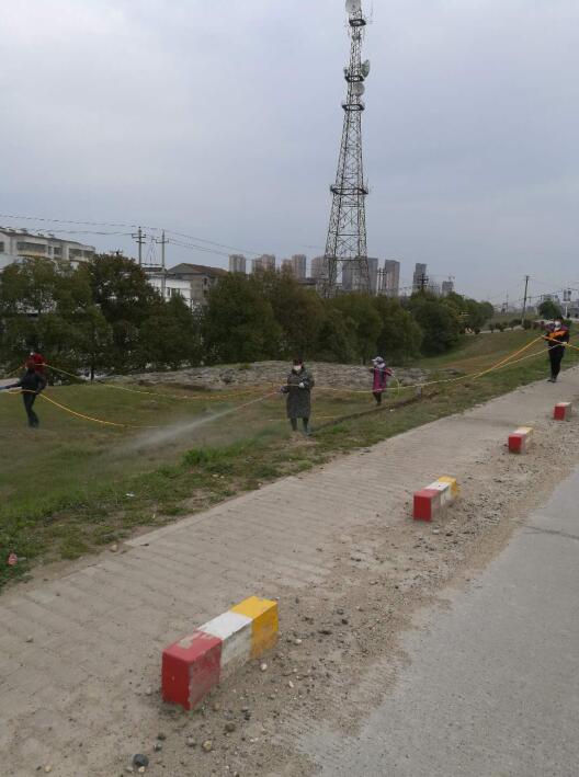 监利县长江河道管理局城南分段药物除杂